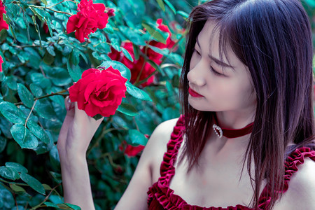 上海现存最早地方志——《云间志》影印本首发